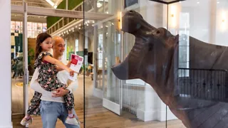 ARTIS-Groote Museum