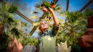 Avifauna