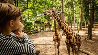Dierenpark Amersfoort