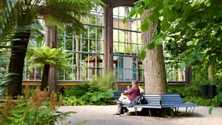Hortus Botanicus Amsterdam