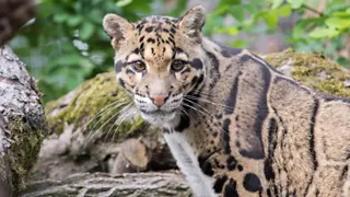 Ouwehands Dierenpark