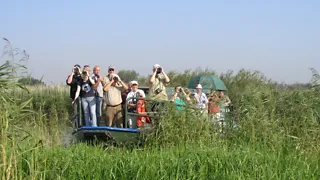 Met de fluisterboot door Nationaal Park De Biesbosch in Dordrecht