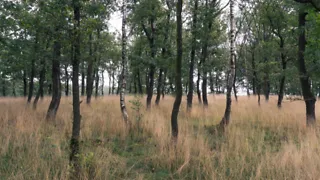 Fietsroute vanaf station Tilburg door Nationaal Park Loonse en Drunense Duinen
