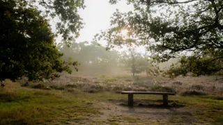 Fietsroute vanaf station Arnhem door Nationaal Park de Veluwezoom met de OV-ebike