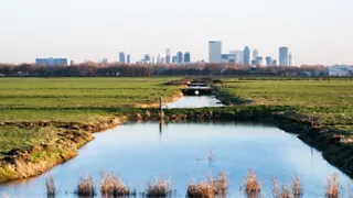 Polderpadroute van Rotte tot Schie: het groene stuk van Rotterdam