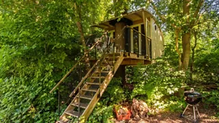 Overnachting in een boomhut in Lelystad