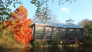 Bezoek Hortus Botanicus, een groen geheim in Amsterdam