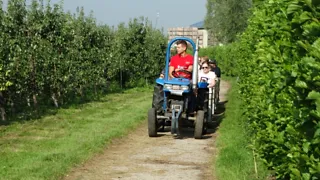 Het oogstfeest in de Krommerijnstreek
