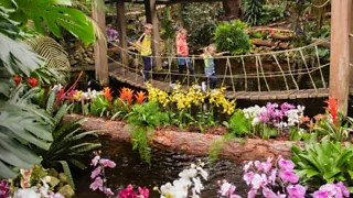 Vlinderparadijs in Luttelgeest: ontdek Pantropica