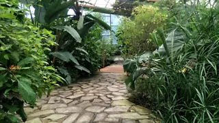 Spot honderden vlinders bij het Vlinderparadijs Papiliorama in Havelte