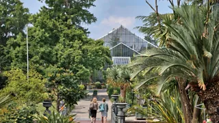 Hortus Botanicus: een oase aan planten in de oudste botanische tuin van Nederland