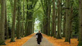 De Almelose natuur in: wandelen door de Gravenallee
