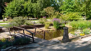 Hortus Botanicus in Delft