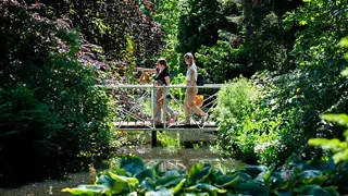 Trompenburg Tuinen & Arboretum in Rotterdam