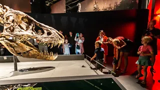 Naturalis Biodiversity Center in Leiden