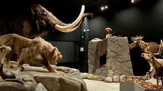 Natuurmuseum Brabant in Tilburg