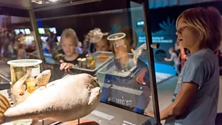 Spannende avonturen in Naturalis in Leiden