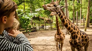 Leuke en unieke dierentuinen in Nederland