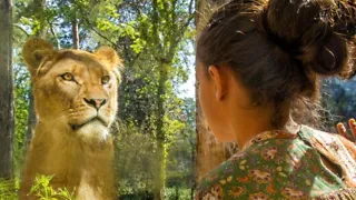 DierenPark Amersfoort