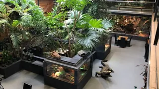 Reptielenhuis De Aarde in Breda