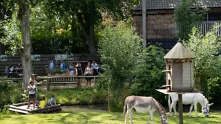 Dierenwijck in Rotterdam