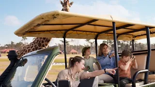 Safaripark Beekse Bergen in Hilvarenbeek