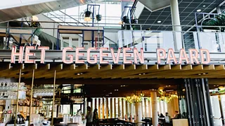 Borrelen en muziek luisteren bij Het Gegeven Paard in Utrecht