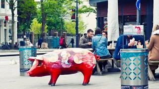 Street art in Crooswijk: Rotterdam op z'n kleurrijkst