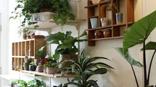 Een groen leven bij Little Green Shop