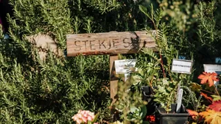 Struin door de pluktuin bij Landgoed Bredius