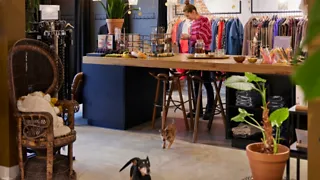 Winkelen in Amersfoort