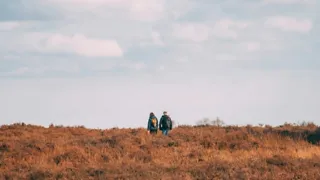 Heide en schapen spotten op de Bos en Heideroute in Heumensoord
