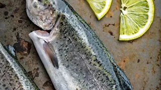 Maritieme smaken bij De Viszaeck in hartje Amersfoort