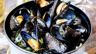 5x visrestaurants in Middelburg 