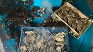 Eerlijk eten bij Het Packhuys in Middelburg