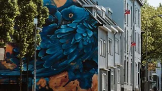 16:00 uur: Extra of alternatieve optie: streetart tour door hartje centrum