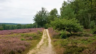 Trap de fietsroute Bijzonder Mooi Ede