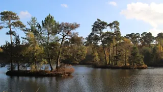 Rondje Rutbeek