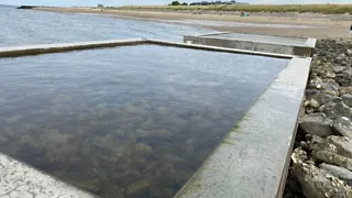 Op ontdekking in de getijdenbakken bij Wemeldinge