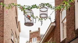 Bezoek de vrolijke Papegaaistraat