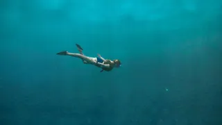 Snorkelen en duiken bij Wemeldinge