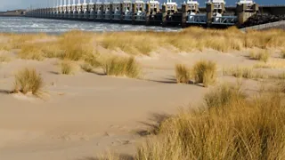 Op slikkentocht op de Kattendijkse Plaat