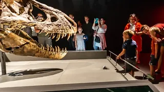 24 uur op pad met kids in Leiden 