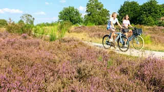 Fietsen in de natuur bij Hilversum 