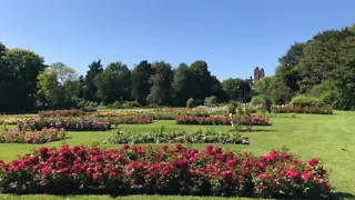 Samen genieten tussen rozen en water in het Westbroekpark