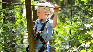 Klimmen en klauteren in Klimbos Apeldoorn