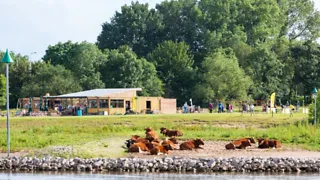 Meadow: stadsstrand met schitterend uitzicht op Deventer