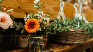 Bloemen en planten shoppen bij Bloementuin aan de Zaan