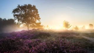 8x de mooiste wandelroutes door de heide 