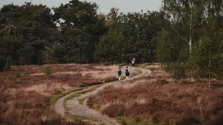 Struinen door stuifzand in de Loonse en Drunense Duinen